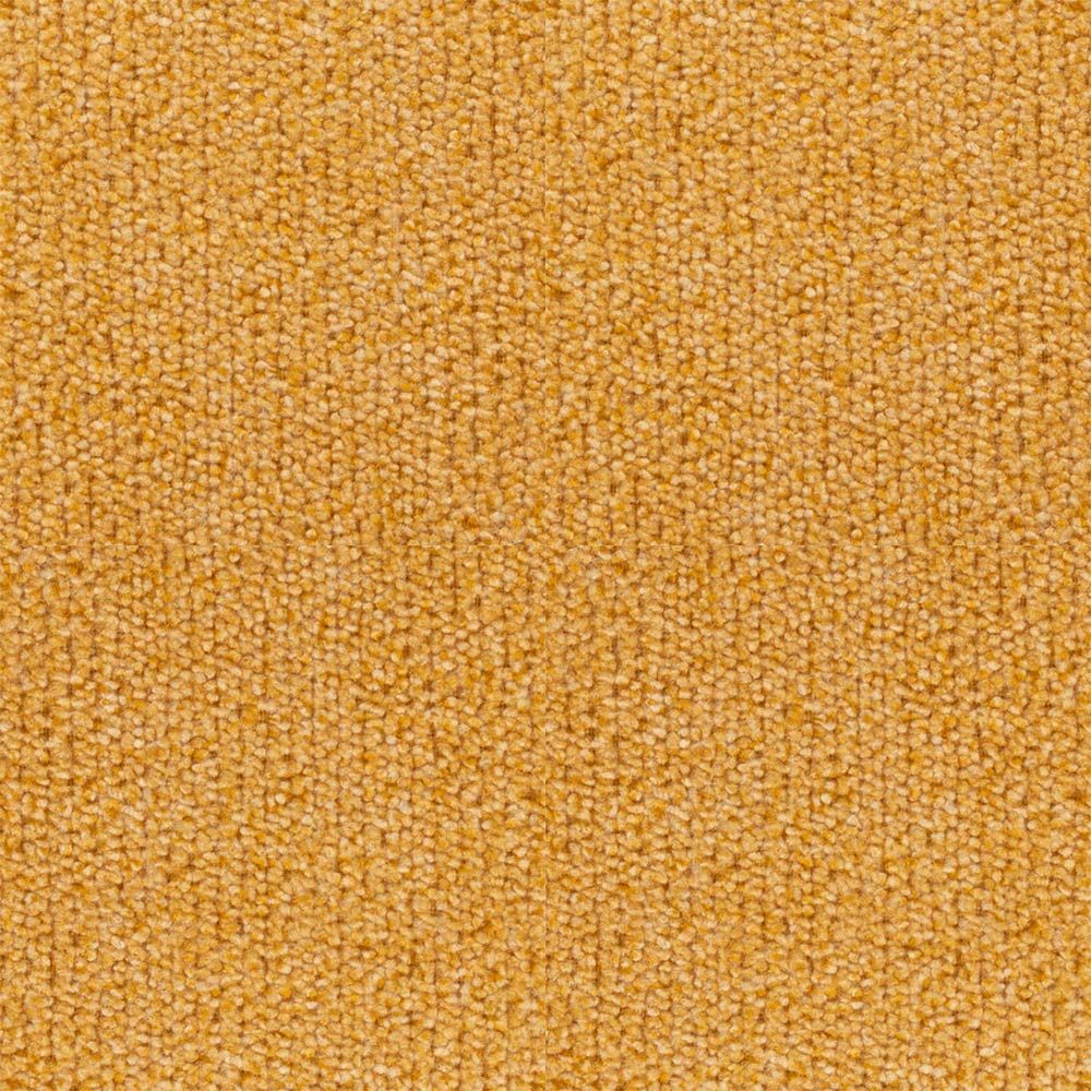 Aoraki Mustard