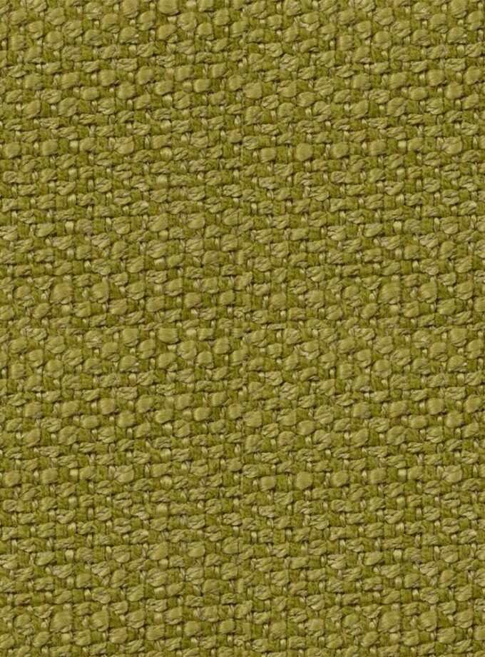 Argos Lime