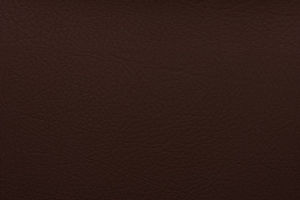 Pranna Vinotinto